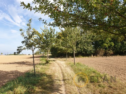 Prodej pozemku  2 317 m2 , Říčany, okres Praha -  východ - pozemek - zahrada - Říčany