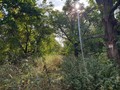 pozemek - zahrada - Říčany