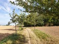 pozemek - zahrada - Říčany