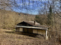 Fotka 3